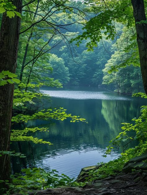 Scenic Getaway Pennsylvania Mountains, Pocono Mountains, Sugar Pie, Ponds, Beautiful Nature, Pennsylvania, National Park, Nature Photography, National Parks