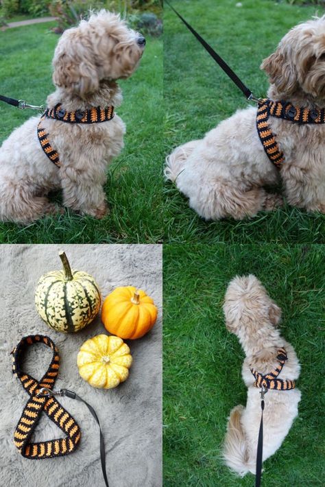 Crochet Dog Harness Free Pattern, Crochet For Dogs Patterns Free, Crochet Dog Harness, Diy Dog Harness, Dogs Diy Projects, Cutest Puppy Ever, Cat Harness, Halloween Dog, Dog Projects