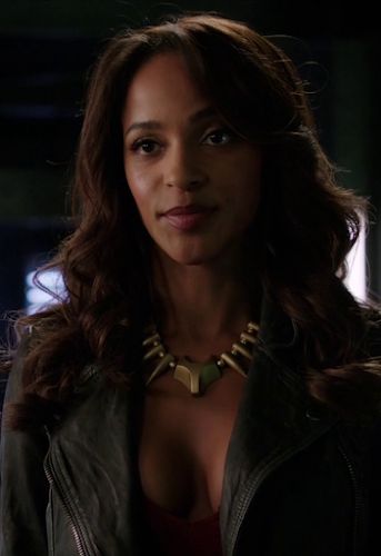 Mari Mccabe, Vixen Dc, Organic Armor, Arrow Season 4, Arrow (tv Show), Arrow Tv, Dc Legends Of Tomorrow, Emma Swan, Great Tv Shows