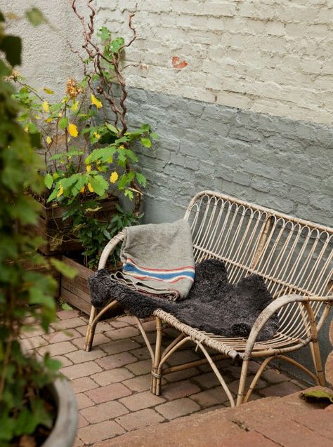 Two tone painted brick wall in the garden Painted Brick Patio, Brick Patio Wall, Outdoor Wall Paint, Brick Wall Gardens, Painted Brick Wall, Small Garden Layout, Painted Brick Walls, Brick Patio, Courtyard Gardens Design