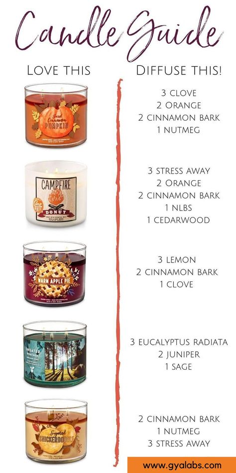 Candle Guide, Lilin Aroma, Jul Diy, Potpourri Recipes, Essential Oil Combinations, Homemade Scented Candles, Essential Oil Diffuser Blends Recipes, Young Living Essential Oils Recipes, Oil Diffuser Recipes