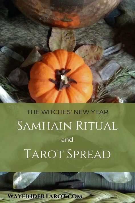 Samhain Ritual Witchcraft, Ancestral Work, Samhain Tarot, Read Tarot, Samhain Ritual, Witch Powers, Pagan Festivals, Oh My Goddess, Tarot Spread