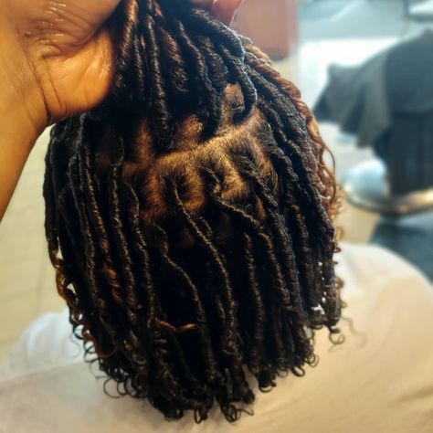 Coils, Starter Locs Locs 3b Hair, Starter Coil Locs, Starter Locs Coils, Coils Starter Locs, Comb Coil Starter Locs, Coil Starter Locs, Locs Coils, Coil Locs, Locs Starter