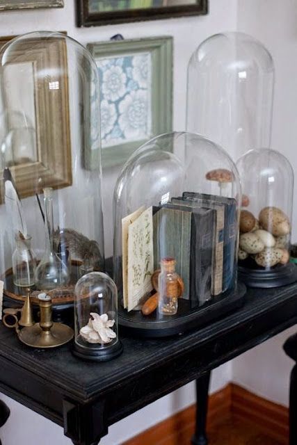 Eye For Design: Decorating Under Glass With Cloches And Domes Glass Cloche Decor, Cloche Decor, Cabinet Of Curiosity, Glass Bell Jar, Cloche Domes, Cabinet Of Curiosities, Glass Cloche, The Bell Jar, Apothecary Jars