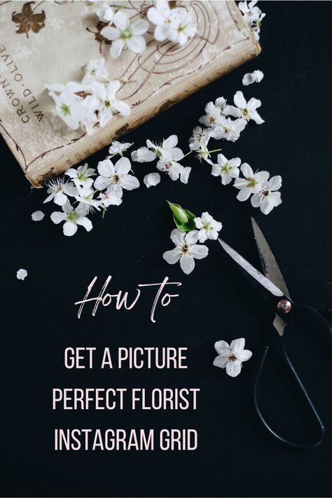 flowers and floristry scissors, how to create a florist picture perfect Instagram feed Florist Content Ideas, Florist Instagram Content, Instagram Grid, Instagram Tips, Picture Perfect, Florist, Instagram