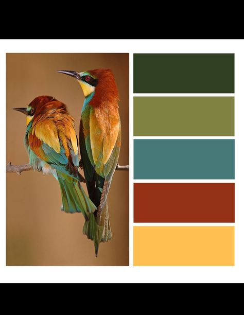 Terracotta Interior Design Color Schemes, Green And Rust Color Palette, Craftsman Paint Colors, Couleur Feng Shui, Rust Color Schemes, Terracotta Interior Design, Paint Color Combos, Color Plan, House Color Palettes