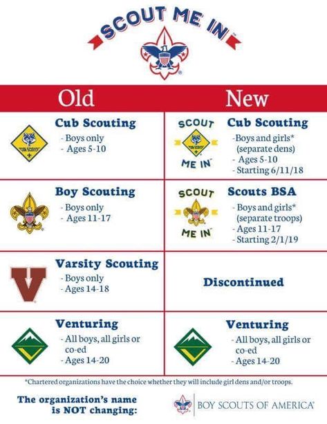 Yay Scouts BSA! Cub Scout Law, Cub Scout Games, Diy Water Bottle Labels, Scout Games, Newsletter Design Templates, Scouts Bsa, Baby Shower Planner, Water Bottle Labels Template, Diy Water Bottle