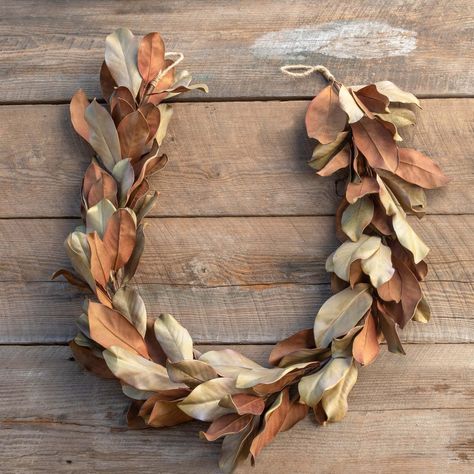 Impressively realistic, this dried-look magnolia leaf garland delivers on aesthetics and offers the added bonus of durability. Pair with our Dried-Look Magnolia Leaf Wreath. Color: One Color. Magnolia Leaf Garland, Magnolia Garland, Magnolia Leaf Wreath, Park Hill Collection, Magnolia Leaf, Park Hill, Magnolia Leaves, Leaf Garland, Leaf Wreath