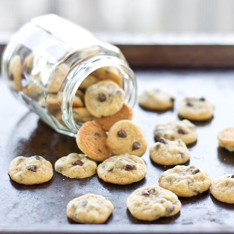 Teeny Tiny Chocolate Chip Cookies (Cookie Sprinkles) - Just Putzing Around the Kitchen Tiny Food Party, Tiny Cookies, Cookie Sprinkles, Cookies Photography, Super Cookies, Mini Chocolate Chip Cookies, Cookie Bites, Cookies Branding, Tiny Cooking