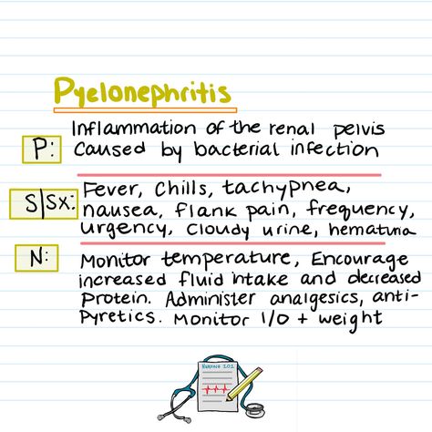 ➡️ Swipe to learn about Renal & Urinary Disorders with my easy to follow notes! Save and share with your fellow nursing students! 🩺💊 #NursingStudyGuides #RenalSystem #NursingStudent #ChronicKidneyDisease #PolycysticKidneyDisease #Pyelonephritis #MedStudent #NursingLife @cecestudyguides Cloudy Urine, College Survival Kit, Nurse Study, Nurse Study Notes, Nurse Inspiration, College Survival, Bacterial Infection, Nursing Study, Med Student