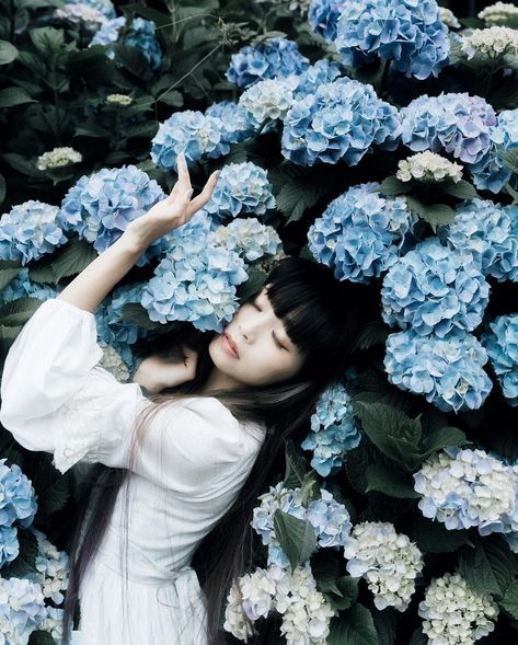 Gaku on Instagram: “hydrangea 📷 : sony a7iii 💠 : @inevitable1996 --- #worldviewmag #littlerivermag #thinkverylittle #Toxickidsmag #insomniamag…” Hydrangea Photoshoot, Daily Sketch Ideas, Portugal Photoshoot, Maui Photoshoot, Hydrangea Photography, Sketching Poses, Lily Manga, Yuka Mannami, Goddess Photoshoot