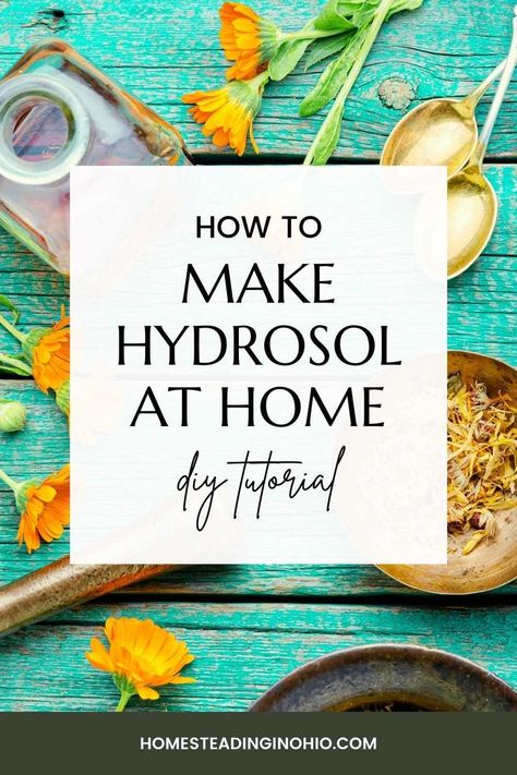 Herbs Preserving, Make Your Own Hydroxychlorochine, How To Make Herbal Oils, Diy Hydrosol, Hydrosol Recipes, Hydrosol Diy, Diy Hydroxichloriquine, Hydrosol Uses, How To Make Hydrosol