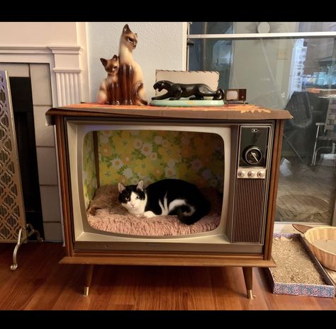 Mid Century Cat, 1970s Home, Adrian Pearsall, Charles And Ray Eames, Paul Mccobb, Lane Furniture, Ray Eames, House Museum, Furniture Collections