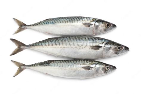 Premium Photo | Photo fresh raw whole mackerel fishes isolated on white background Fish Mounts, Mackerel Fish, Fitness Jobs, Raw Fish, Still Life Photos, Pantothenic Acid, Nutrient Dense Food, Food Supply, White Meat