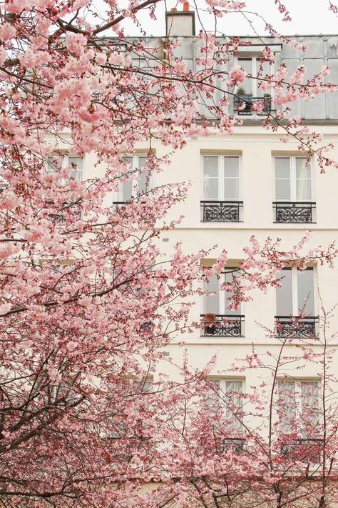 Frühling Wallpaper, Pastel Pink Wallpaper, Pink Wallpaper Backgrounds, Paris Travel Guide, Paris Aesthetic, Pastel Pink Aesthetic, Rose Rouge, Pink Vibes, Pink Spring