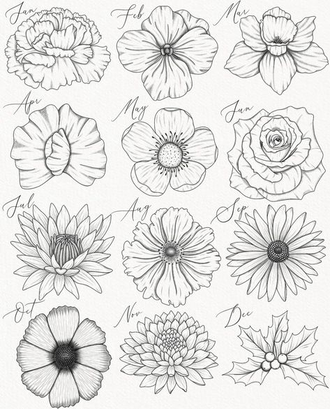 Birth Flower Tattoos Half Sleeve, July And November Birth Flower Tattoo, August Birth Flowers Tattoo, Birth Month Flower Tattoos Ideas, March And October Birth Flower Tattoo, Upper Thigh Flower Tattoo, Succulent Sketches, Mum Flower Tattoo, Arm Outline