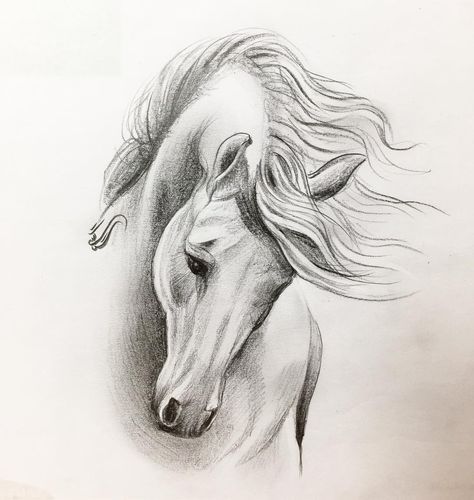 Equine Art Pencil Drawings, Horse Pencil Drawing, Artwork Pencil, Horse Tattoo Design, Horse Art Drawing, Pencil Drawings Of Animals, Horse Sketch, Horse Tattoo, Art Drawings Sketches Pencil