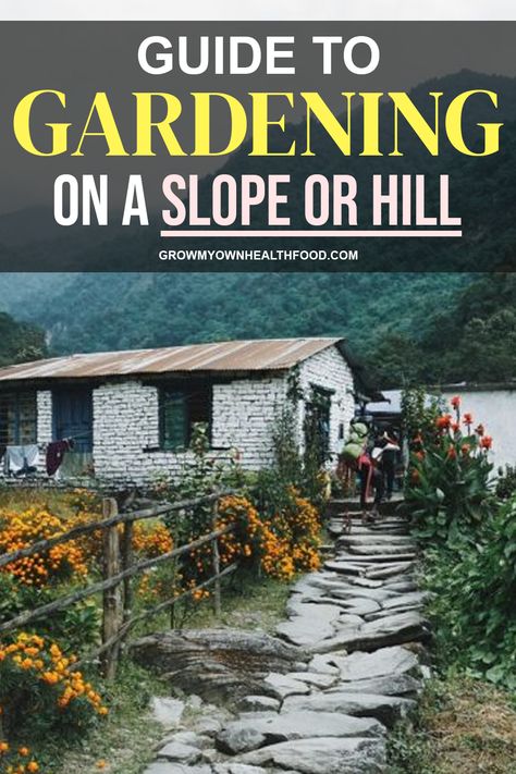 Coping with a slope can often seem like an uphill battle. Here’s how to make the most of Gardening on A Slope without the hassle. Vegetable Garden On A Slope, Flower Bed On A Slope, Sloping Backyard Ideas, Sloped Yard Landscaping Ideas, Sloped Yard Landscaping, Gardening On A Slope, Sloping Backyard, Yard On A Budget, Sloped Wall