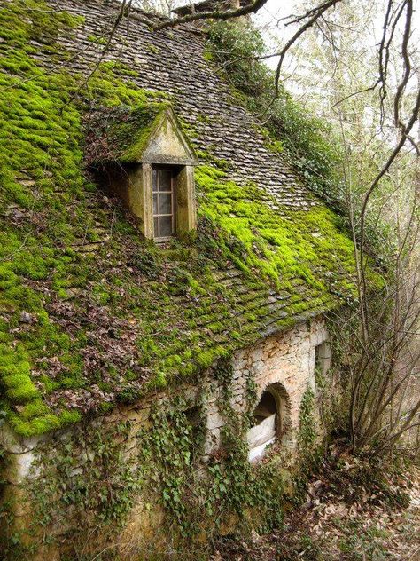 Moss covered Scottish cottage Mossy Cottage, Cottage In The Forest, Ancient Houses, Forest Aesthetic, Abandoned House, Abandoned Mansions, Abandoned Buildings, Old Building, Abandoned Houses