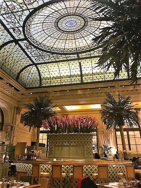 Plaza 101 palm court Tea At The Plaza, Visiting New York City, Trip To New York City, Visiting New York, Palm Court, Trip To New York, Visit New York City, Court Wedding, Autumn In New York