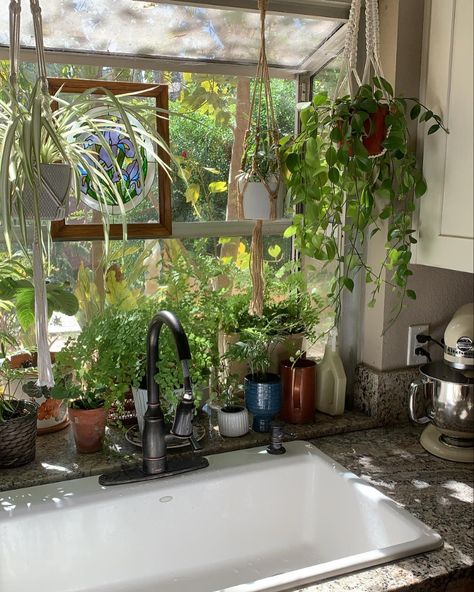 THE GILDED LILY THRIFT CO. | my kitchen window full of planty friends and so serene🌿 . especially during this time of the afternoon, when the house is silent & calm-… | Instagram House Plants In Window, Window Styling Ideas, Herbs In Kitchen Window, Kitchen Garden Window Over Sink, Garden Window Kitchen, Bealtaine Cottage, Kitchen Garden Window, Window Over Sink, Gilded Lily