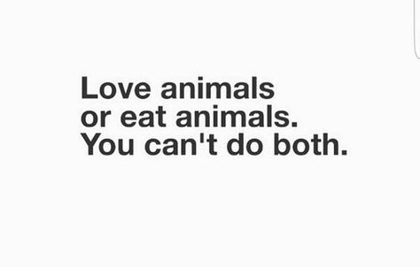 Text Animals, Vegetarian Quotes, Graphic Pictures, Vegan Activism, Reasons To Be Vegan, Vegan Info, Vegan Facts, Vegan Tattoo, Vegan Memes