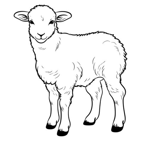 Cute sheep coloring page Lamb Template, Sheep Outline, Sheep Coloring Page, Sheep Template, Lamb Drawing, Lamb Tattoo, Sheep Drawing, Rustic Painting, Linocut Printmaking