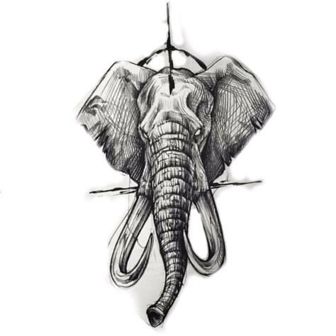 Pin de Mateo Bingula em animal em 2022 | Tatuagem elefante, Inspiração para tatuagem, Tatuagem Elephant Tattoo Design Men, Elephant Tattoo Sketch, Elephant Tattoos Men, Elephant Hand Tattoo, Chest Tattoo Elephant, Elephant Art Tattoo, Elephant Head Tattoo, Eagle Chest Tattoo, Animal Tattoos For Men