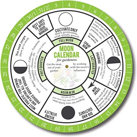 Amazon.com : Moon Calendar for Gardeners. Garden in Harmony with Phases of the Moon. Biodynamic Gardening Methods and Old Farmers Almanac use the Lunar Cycle for Planting. 365 Day Perpetual Moon Calendar Guide. : Office Products Biodynamic Gardening, Planting Calendar, Farmers Almanac, Garden Calendar, Old Farmers Almanac, Moon Calendar, Phases Of The Moon, Lunar Cycle, Moon Garden