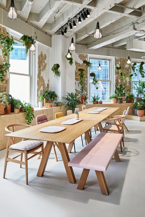 Good Vibes, Great Design | Coalesse Nordic Cafe, Trestle Table, Cafe Interior Design, Workspace Design, Cafe Interior, Cafe Design, Commercial Design, Space Design, Open Space