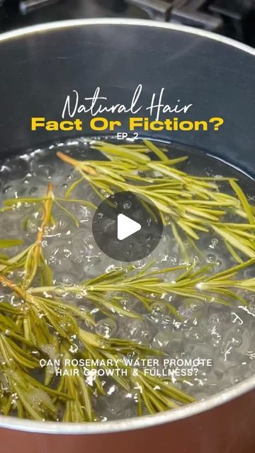 Kinzey Rae on Instagram: "It’s believed that rosemary water can help increase circulation to your scalp and promote hair growth! 🤩🌿

I’ll be testing this out for 30 days to see if my hair grows at a faster rate than normal. 

Things I used: 
• continuous spray bottle
• mini funnels
• a strainer
• a measuring cup
• 3 cups of distilled water
• organic rosemary 

Will you be trying this?

*Disclaimer* I am not a medical or hair professional. The content in this video is based off opinion and personal research and should not be considered as medical advice. 

#rosemarywater #rosemarywaterforhairgrowth #rosemarywaterforhair #hairgrowthtips #hairgrowth" Rose Mary Water For Hair Growth, Rosemary Hair Spray, Rose Marry Water For Hair Growth, How To Use Rosemary Water For Hair, Rosemary Spray For Hair Growth, Rosemary Water For Hair, Rosemary Hair Growth Spray, Rosemary Water For Hair Growth, Rosemary For Hair Growth