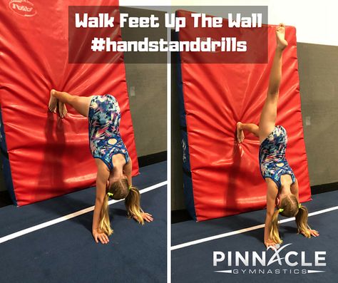 Handstand Drills Gymnastics, Fun Gymnastics Drills, Handstand Drills For Beginners, Beginner Gymnastics Drills, Gymnastics Basics, Beginner Tumbling, Gymnastics Classes For Kids, Gymnastics Stations, Beginner Gymnastics