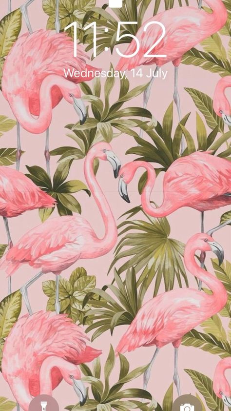 Flamingo Wallpaper Iphone, Iphone Wallpaper Butterfly, Pink N Green, Wallpaper Butterfly, Flamingo Wallpaper, Wallpaper Iphone Wallpaper, Butterfly Wallpaper Iphone, Iphone Backgrounds, Trendy Wallpaper