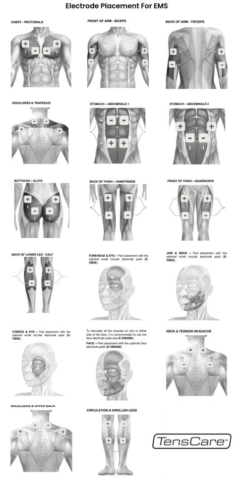 Electrode Placement Charts, Ems Electrode Placement Muscle, Electronic Muscle Stimulators, Ems Abs Stimulator, Tens Placement Chart, Tens Unit For Muscle Toning, Ems Placement Chart, Tens Pad Placement Chart, Tens Unit Placement Charts Shoulder