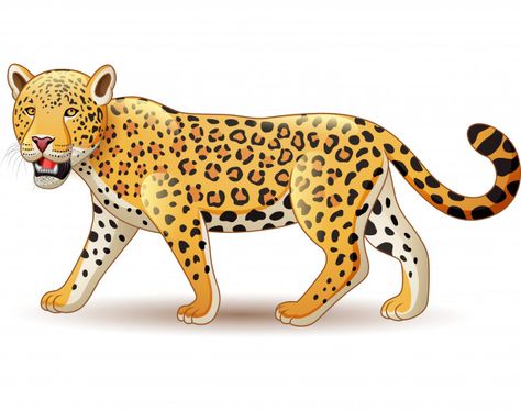 Cartoon Jaguar, Cheetah Cartoon, Leopard Cartoon, Cartoon Leopard, Cheetah Logo, Eagle Cartoon, Leopard Print Background, Sheep Cartoon, Win Art