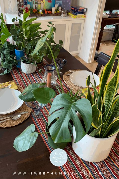 Plants As Centerpieces, Plant Centerpieces, Fun Planters, Table Centerpiece Flower, Indoor Plants Styling, Beautiful Compliments, Ladies Tea, Dining Room Table Centerpieces, Modern Plant Stand