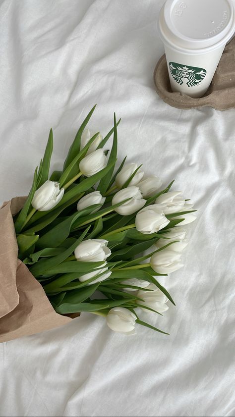 White bouquet of tulips on white sheet - Starbuck’s caffe latte Nourish To Flourish, Engagement Party Themes, Coffee Shop Photography, Tulip Wedding, Vintage Flowers Wallpaper, Flower Meanings, White Sheets, Nothing But Flowers, Flower Therapy