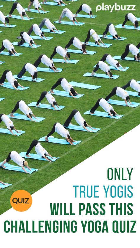 Many know the world of yoga and a lot love it… but do you hold the knowledge it takes to earn the true yogi title? Grab your mat and find out! #PlaybuzzQuiz General Knowledge Celebrities Trivia Yoga Relax Meditate Workout Stretch Yoga Quiz, Playbuzz Quiz, Sanskrit Words, Bikram Yoga, Types Of Yoga, Ashtanga Yoga, General Knowledge, How To Do Yoga, Trivia