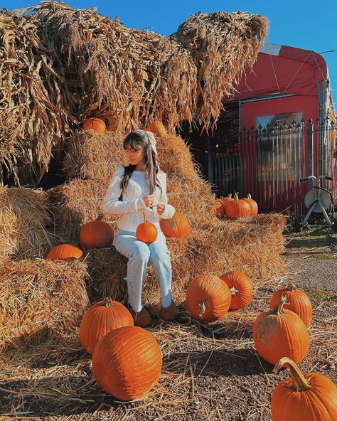 🎃🕯️🍂🤎 Nyc Lifestyle, Food To Try, Pumpkin Patch, Things To Do, Lifestyle, Pins