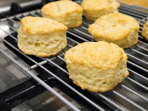 FEAST EVERYDAY: Baking Powder Biscuits (Gesine Bullock-Prado) Gesine Prado Baked In Vermont Recipes, Gesine Bullock Prado Recipes, Gesine Prado Recipes, Baked In Vermont Recipes, Savory Biscotti, Gesine Prado, Vermont Recipes, Baked In Vermont, Fabio Viviani