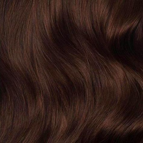 Luxy Hair Extensions, Brown Hair Shades, Luxy Hair, Chocolate Brown Hair, Halo Hair Extensions, Clip In Ponytail, Halo Hair, Remy Hair Extensions, Fuller Hair