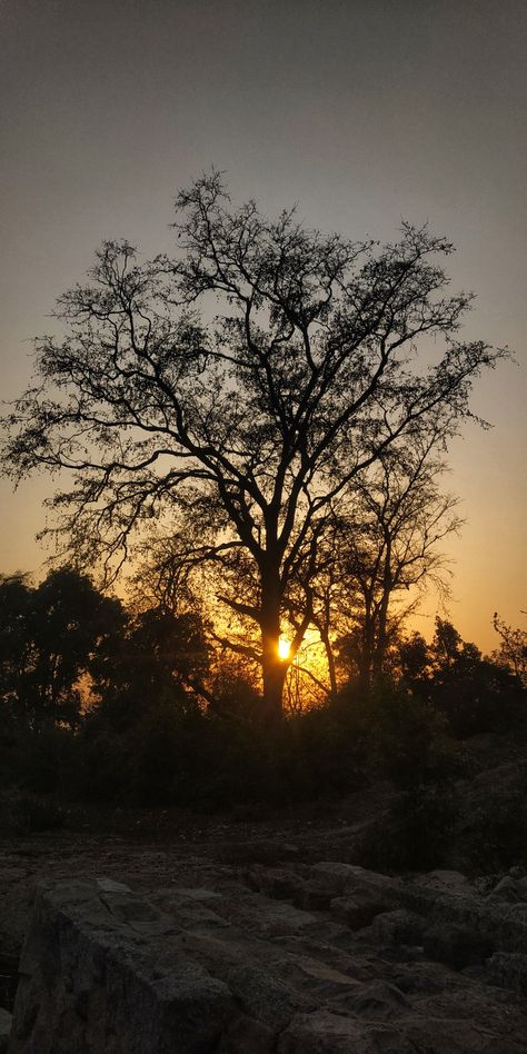 Indian Sunset, Tobi Obito, Sky Photography Nature, Red Sun, Plant Aesthetic, Instagram Frame, Moon Flower, Natural Gifts, Photography Nature