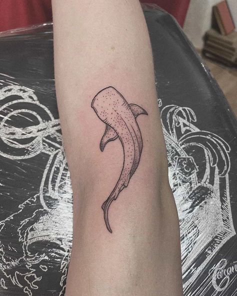 Simple Shark Tattoo, Small Shark Tattoo, Shark Tooth Tattoo, Whale Shark Tattoo, Tooth Tattoo, 16 Tattoo, Whale Tattoos, Shark Tattoo, Ocean Tattoos