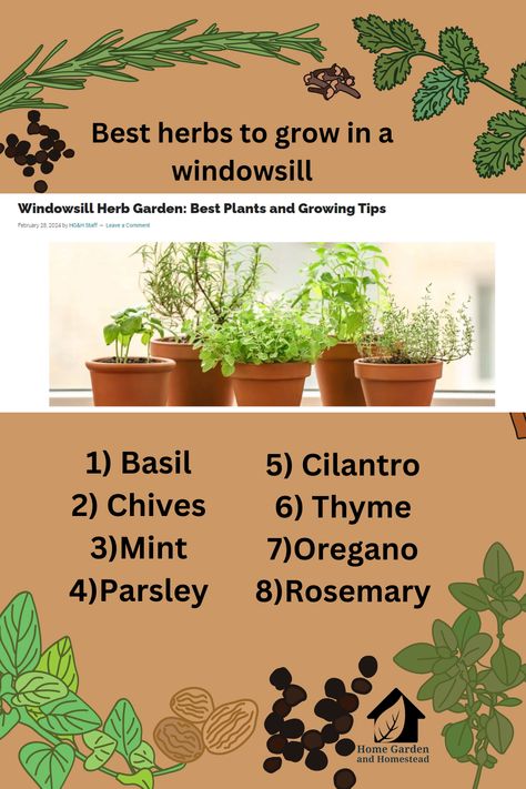 Growing a windowsill herb garden is an easy way to have fresh kitchen herbs right at your fingertips. Many herbs grow well in small pots and containers. They will thrive on a sunny windowsill in a kitchen or on a deck or patio. Patio Herbs In Pots, Diy Herb Garden Indoor Kitchen Windows, Kitchen Window Herb Garden Ideas, Kitchen Herbs Indoor, Kitchen Window Herbs, Plants In Windowsill, Herb Garden Windowsill, Indoor Herb Garden Window, Garden Window Kitchen