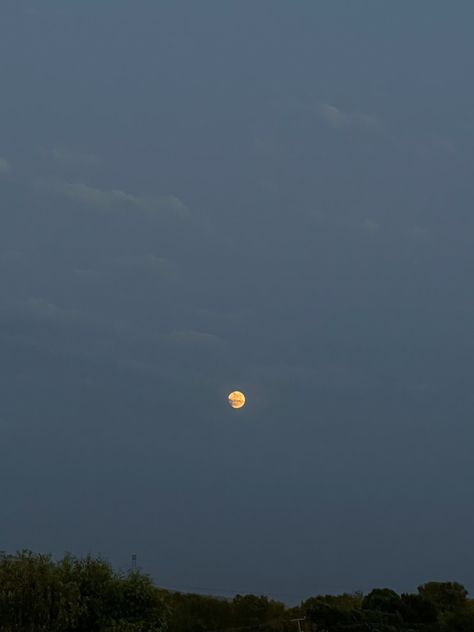 full moon, yellow moon, night, sky, trees, aesthetic Moon Real, Trees Aesthetic, Yellow Moon, Sky Pictures, Moon Night, Photo Dump, Full Moon, Night Sky, Trees