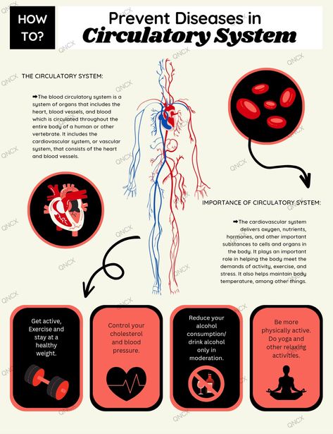 Digital Editing (Prevent Diseases in Circulatory System) Cardiovascular Disease Infographic, Diseases Of The Circulatory System, Circulatory System Diseases, Disease Infographic, Digital Editing, Magazine Cover Ideas, Foot Reflexology Massage, The Circulatory System, Medical Notes