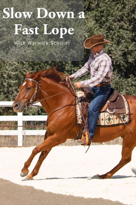 Warwick Schiller, Horse Hacks, George Morris, Riding Exercises, Horse Training Exercises, Horseback Riding Tips, Riding Tips, Saddle Rack, Horse Exercises