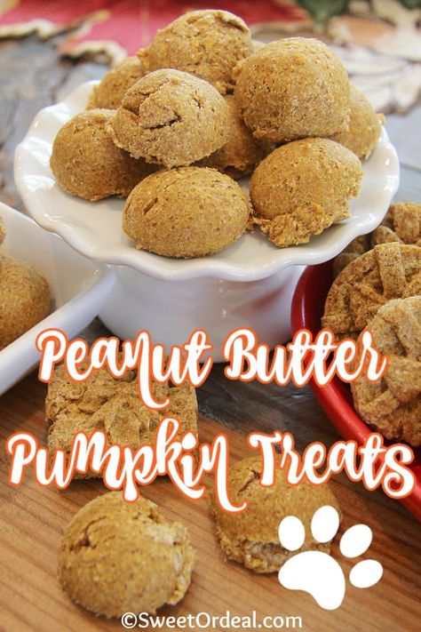 Dog Pumpkin Cookies, Peanut Butter Balls For Dogs, Pumpkin And Peanut Butter Dog Treats, Dog Treat Icing Recipe, Puppy Snacks, Peanut Butter Pumpkin Dog Treats, Dog Treats Homemade Pumpkin, Critter Crafts, Peanut Butter Dog Biscuits