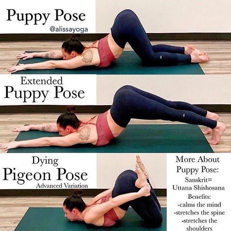 WoahYoga on Instagram: “Woahhh Tips today by @alissayoga⠀ Guide to puppy pose and variation. ⠀ Benefits👍👍 : Calm the mind, stretches the spine and stretches the…” Puppy Pose, Yoga Kundalini, Fitness Humor, Yoga Tutorial, Yoga Beginners, Trening Fitness, Yoga Iyengar, Yoga Posen, Yoga Moves