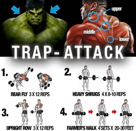 Trap Workout, Fitness Workout Plan, Traps Workout, Workout Man, Dynamic Stretching, Gym Antrenmanları, Workout Muscle, Full Workout, Trening Fitness